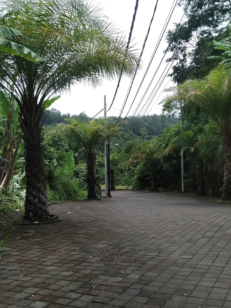 Villa photo