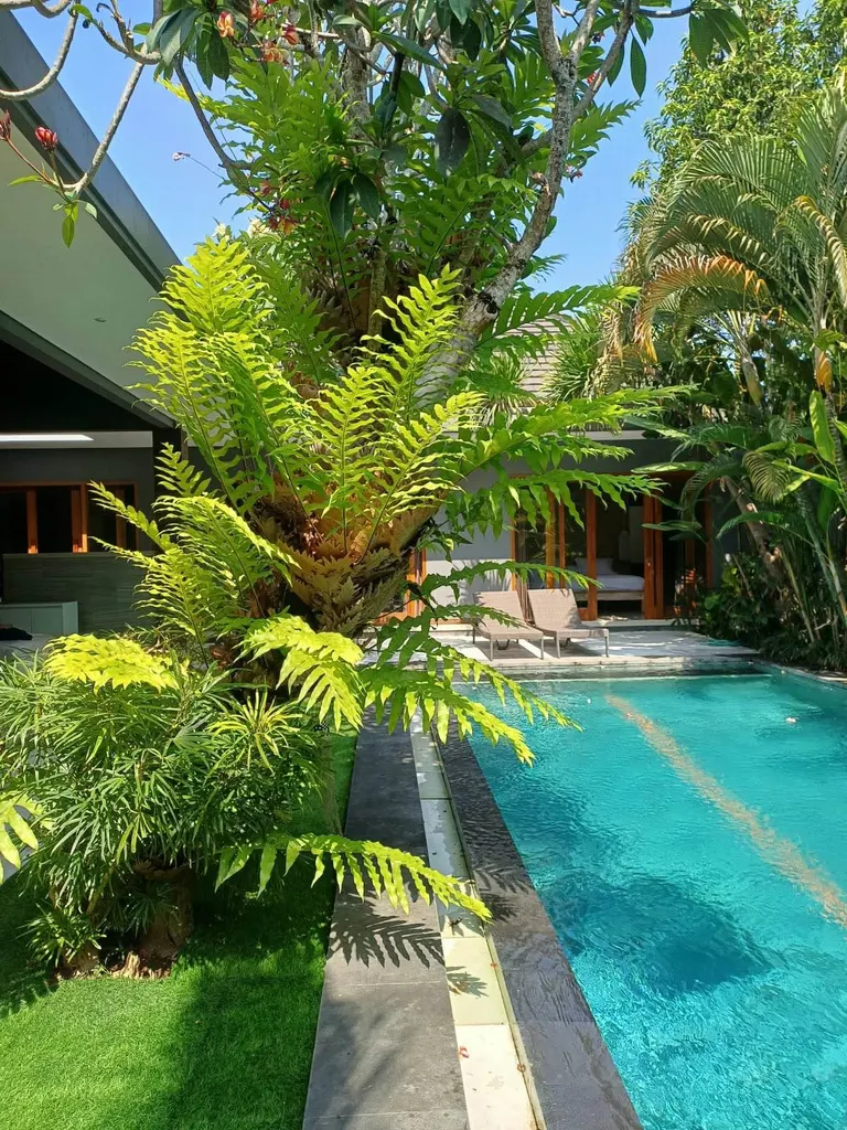 Villa photo