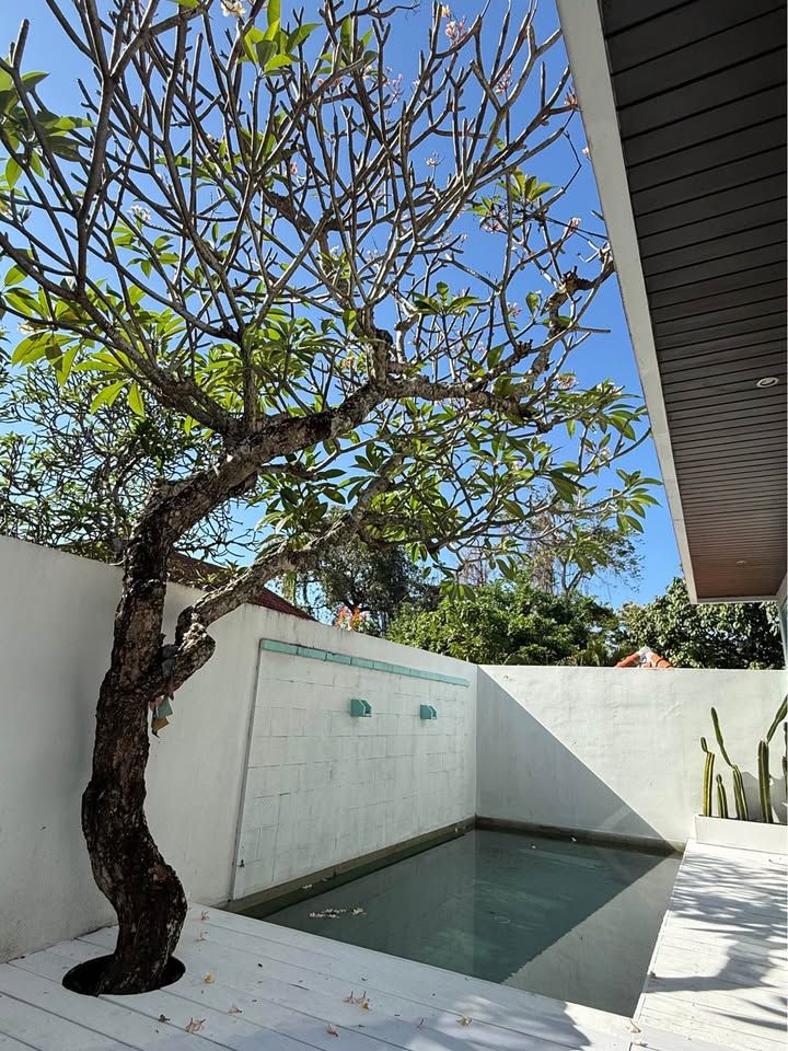 Villa photo
