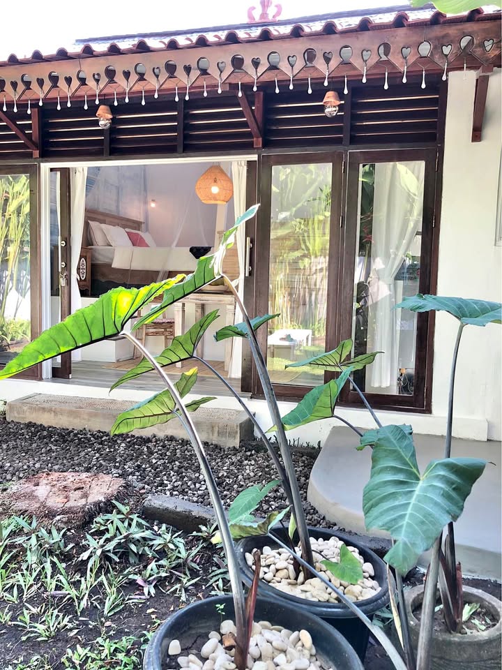 Villa photo