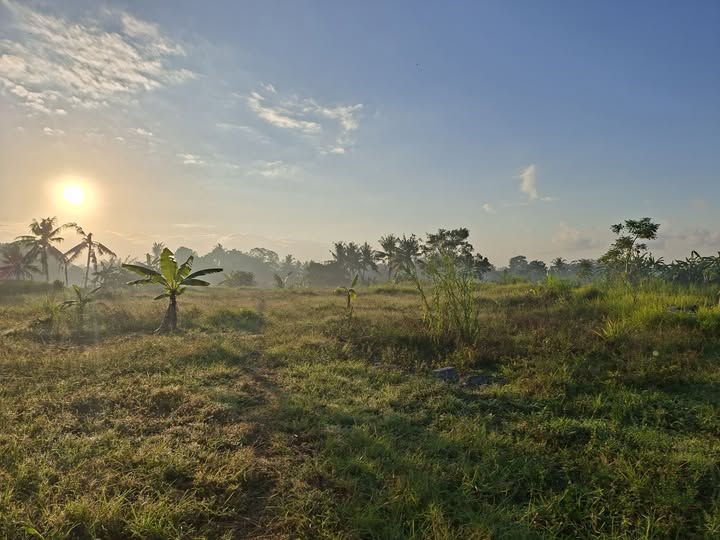 Villa photo
