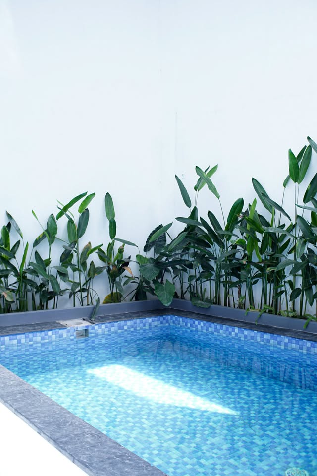 Villa photo