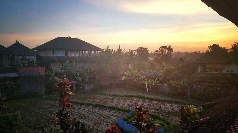 Villa photo