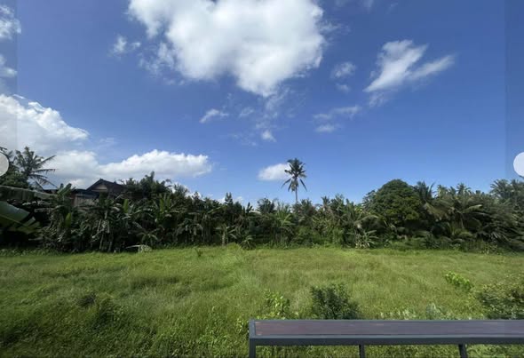 Villa photo