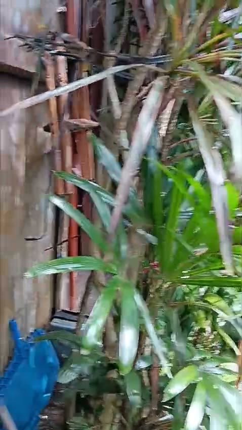 Villa photo
