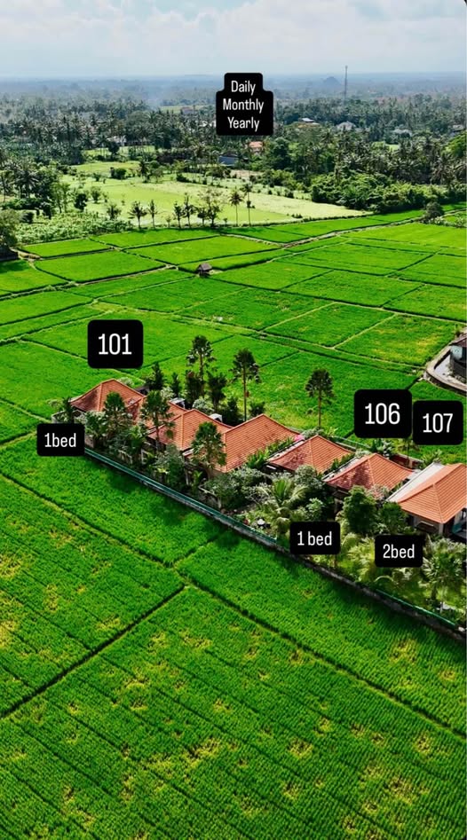 Villa photo