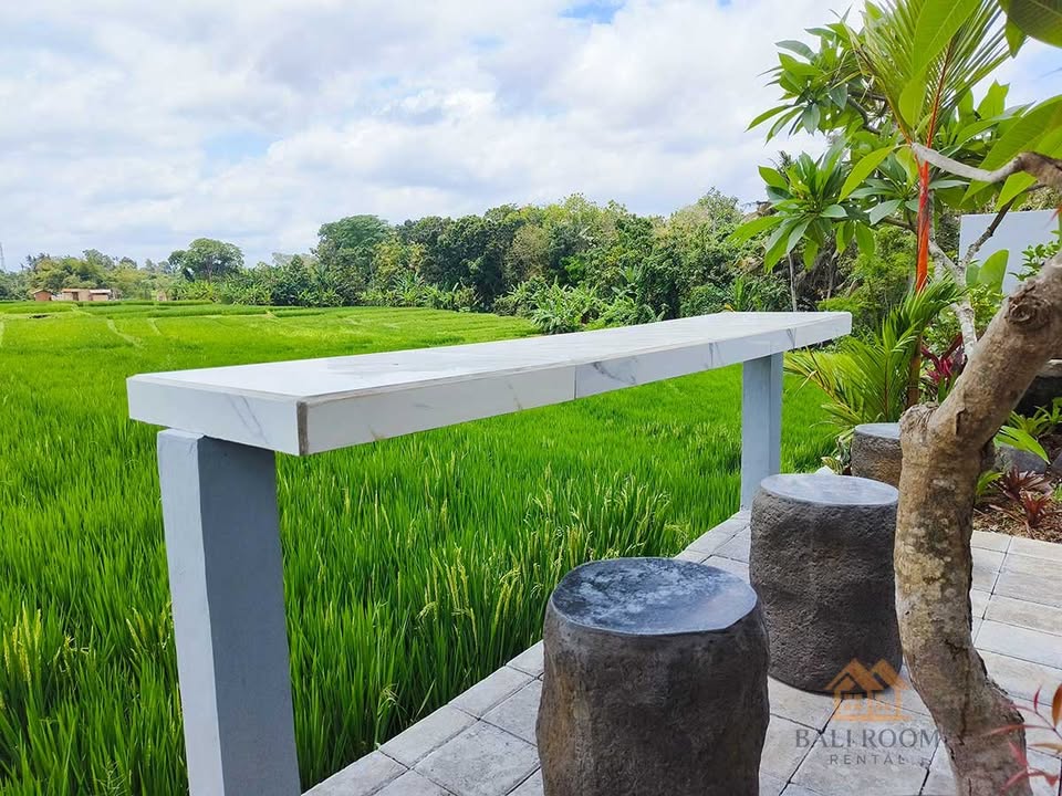 Villa photo