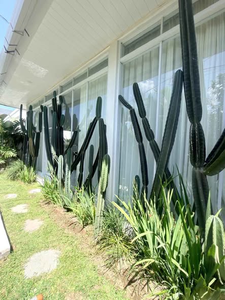 Villa photo