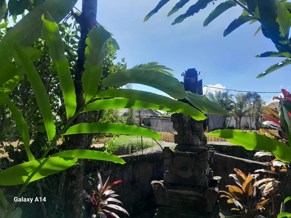 Villa photo