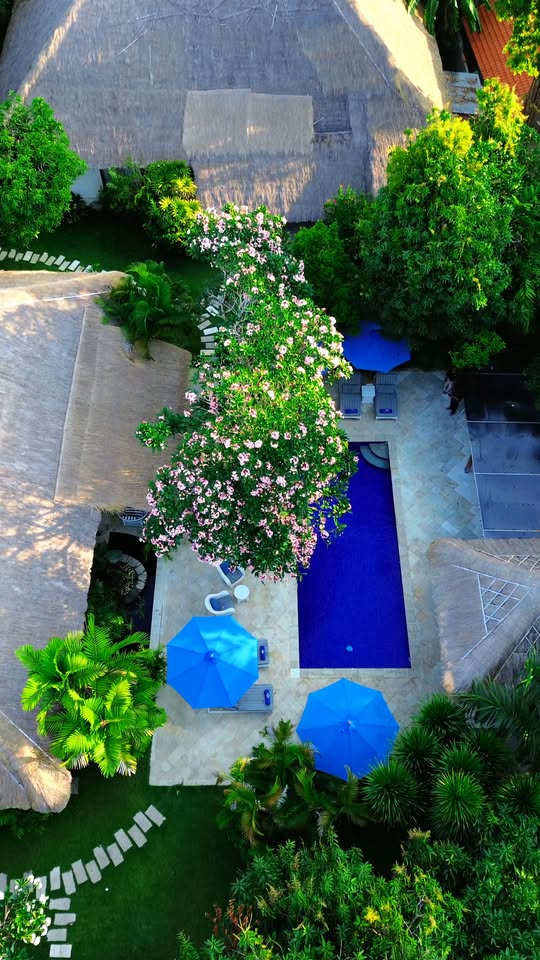 Villa photo