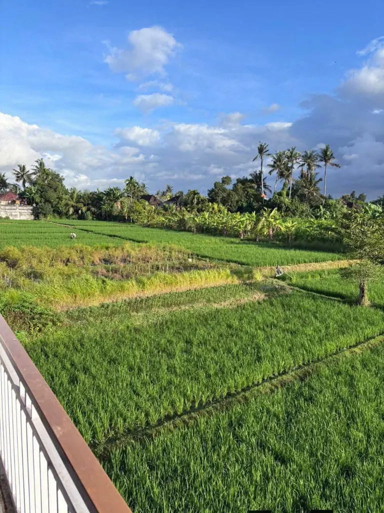 Villa photo