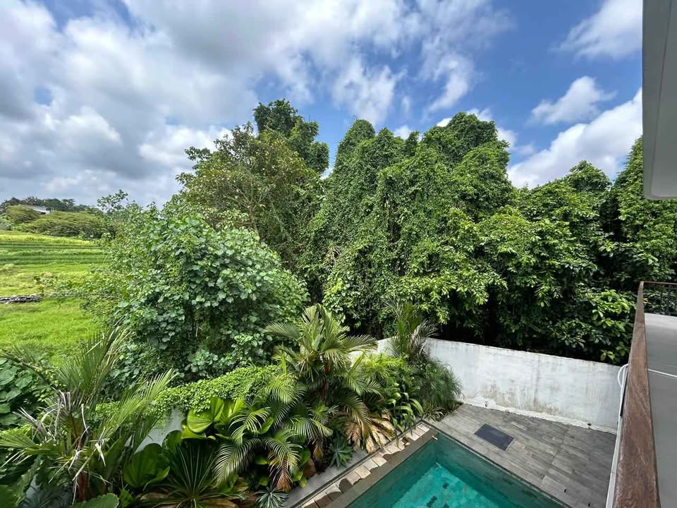 Villa photo